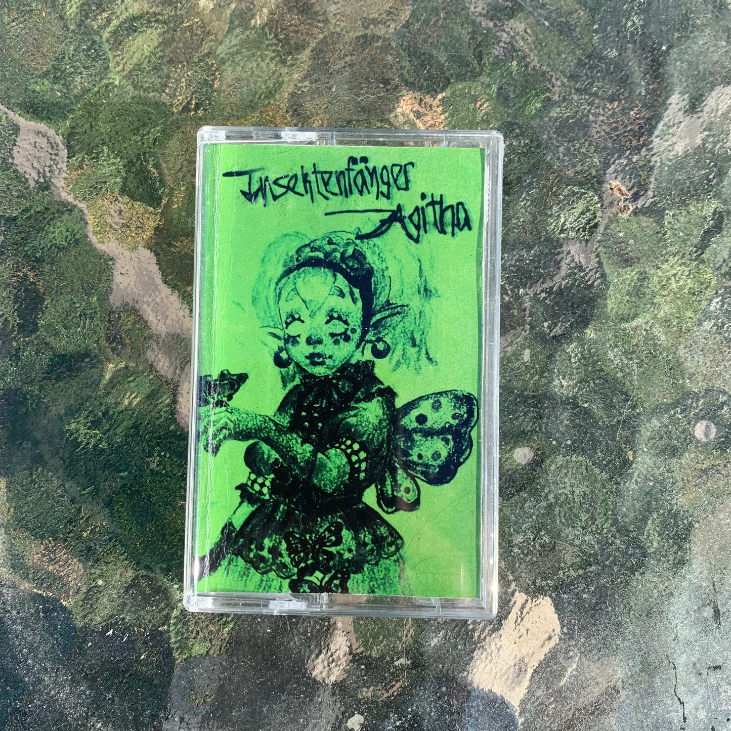 Insektenfänger Agitha