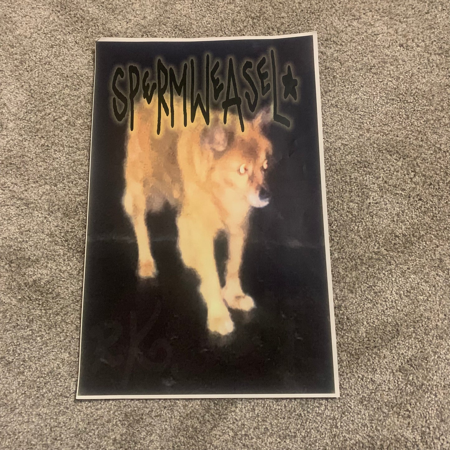Sperm Weasel Poster