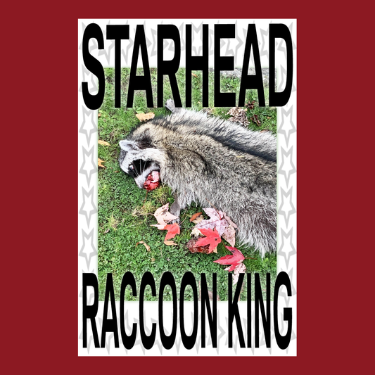 Starhead Poster