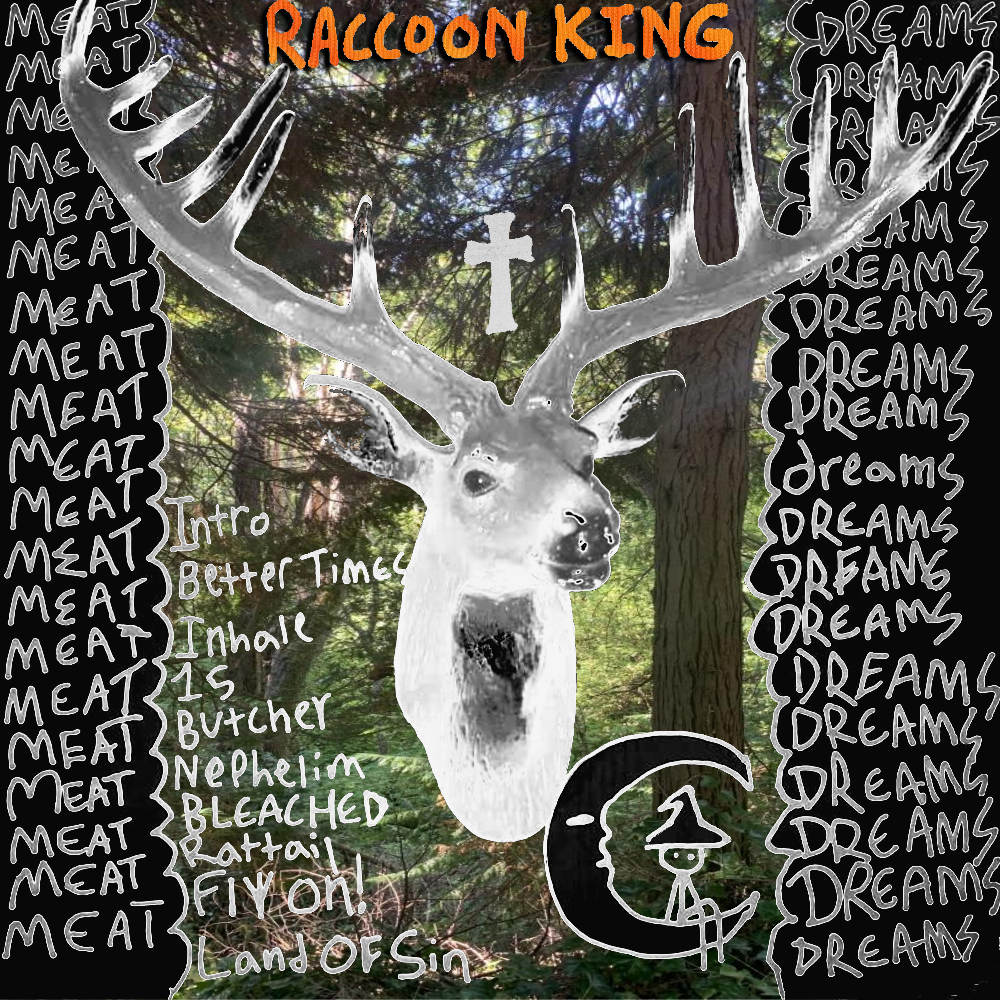 Raccoon King Meat Dreams album cover