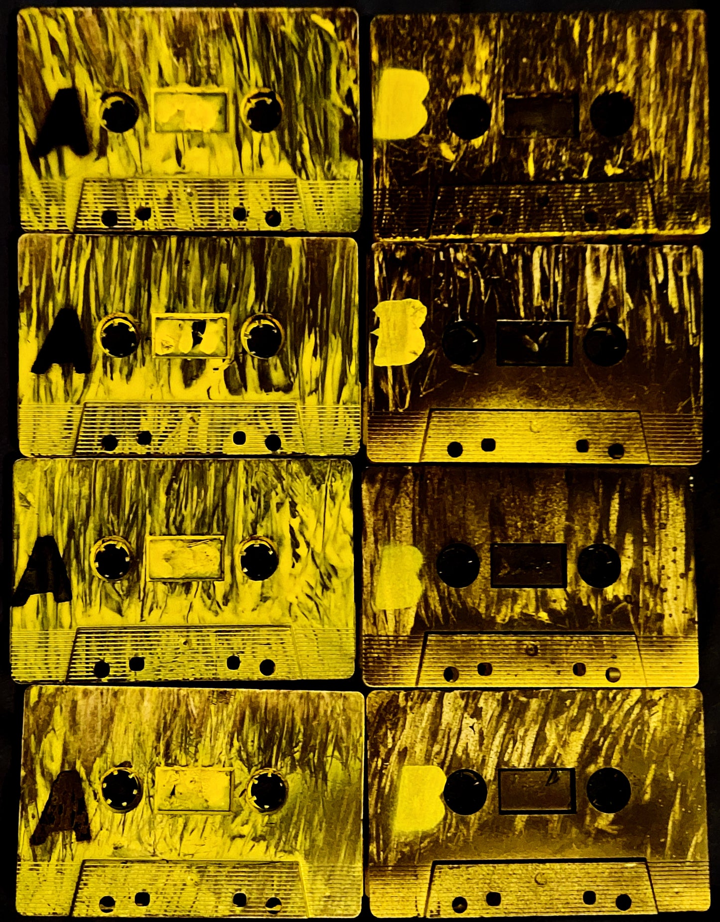 Raccoon King Meat Dreams cassette tapes